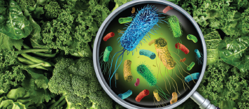 9th International Conference on Food Pathogens and Food Safety